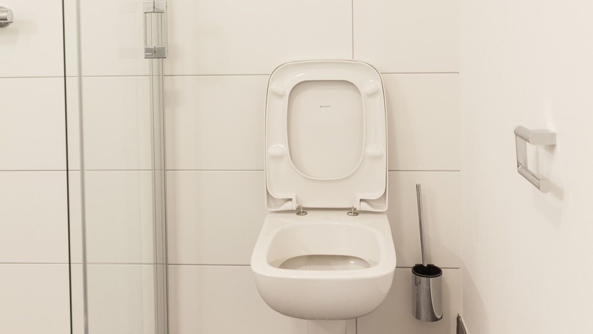 Geberit Asma Klozet (© Geberit) Geberit Asma Klozet (© Geberit)